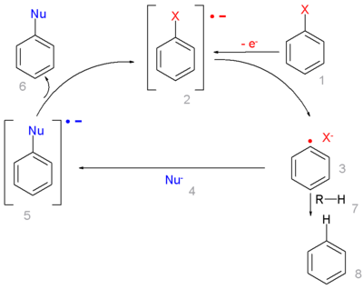 Radical-nucleophilic aromatic substitution Mechanism