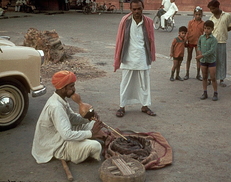 File:Schlangenbeschwörer-Delhi-1973.jpg