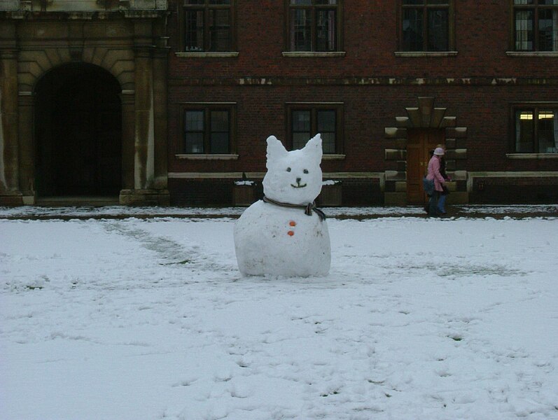 File:Snowcat.jpg