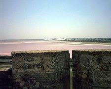 Evaporation lagoons, Aigues-Mortes, France.