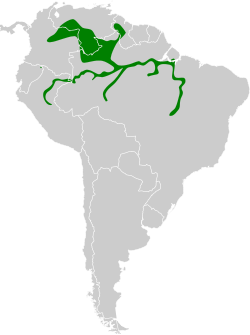 Distribución geográfica de la viudita amazónica.