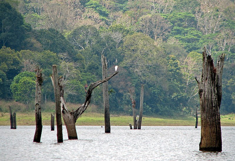 File:Periyar National Park 02.jpg