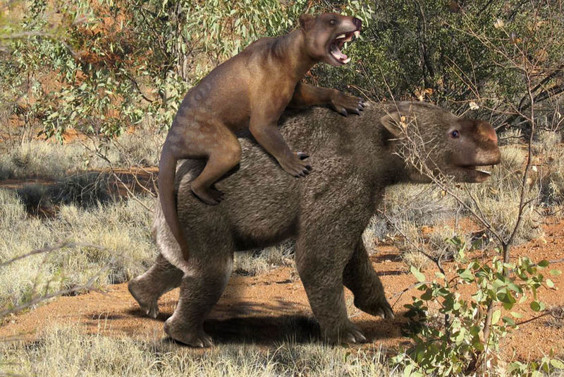 Файл:Thylacoleo vs Diprotodon.jpg