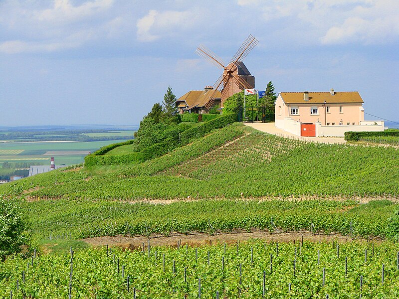 File:Verzenay moulin.jpg