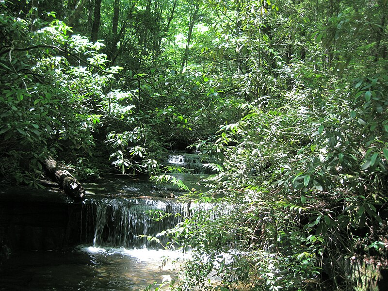 File:WaterFallsTableRockStatePark.jpg