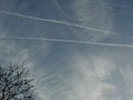 Airliner contrails, some new, some old and much spread out by wind shear.