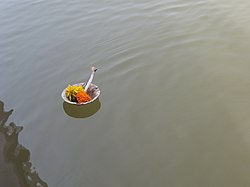 The Holy confluence of Bhima & Amrja rivers in Ganagapur