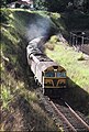 NSWR loco 8025 and another haul the Sydney bound 'Brisbane Limited' past the former Gloucester Road station site, 1987