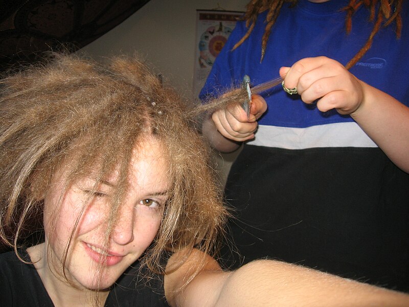 Файл:Dreadlocks machen.jpg