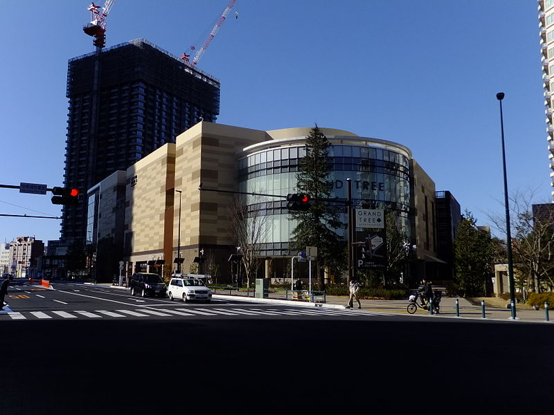 File:Grand Tree Musashi-Kosugi 20150201-2.jpg