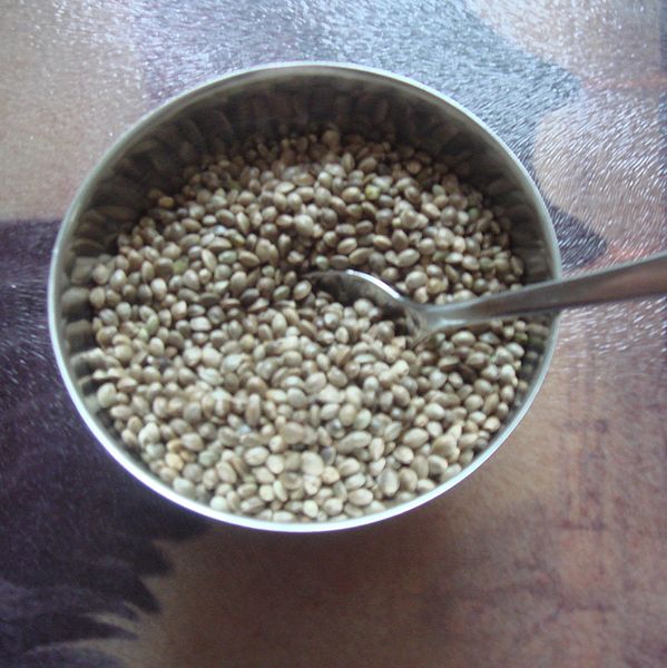 File:Hempseeds.jpg