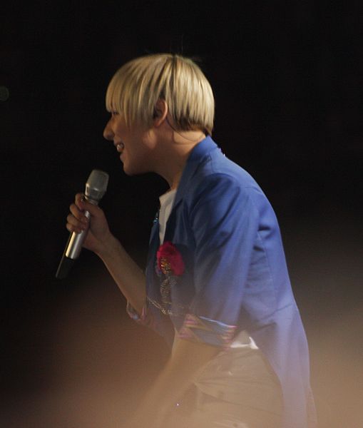 File:Milan Stankovic 02.JPG