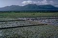 The BacMan Geothermal Power Plant is located on the slopes of the Pocdol Mountains.