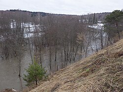 Руть в половодье в нижнем течении, вид со стороны церкви Рождества Богородицы. Апрель 2022