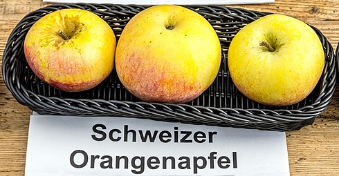 Manzanas 'Schweizer Orange'.