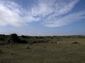 Дюны во внутренней области парка