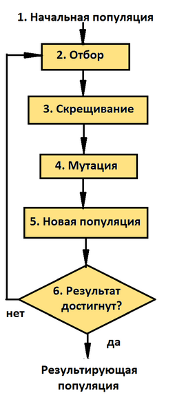 Файл:Генетический алгоритм.png