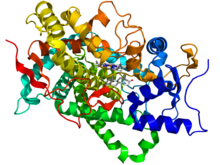 Aromatase CYP19A1 (PDB ID: 3EQM) protein structure in complex with androstenedione