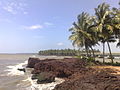 Estuary in Kadalundi-Vallikkunnu border