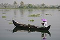 Canoe in Kerala, India