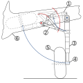 Schematic showing hydraulically operated landing gear, with the wheel stowed in the wing root of the aircraft