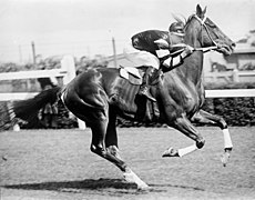 Phar Lap 1930