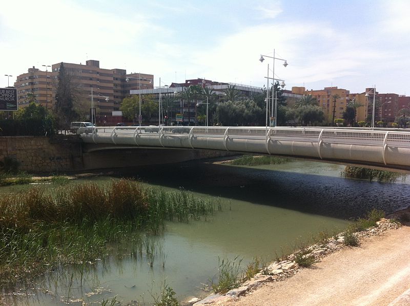 Archivo:PuentedelaFicaMurcia.jpg