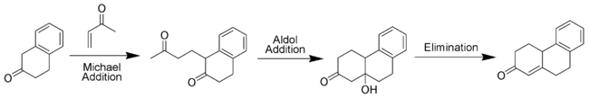 The mechanism of the Robinson annulation