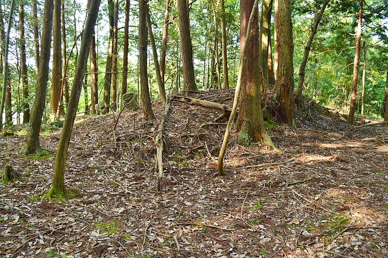 File:Shirageyama Higashi Kofun, funkyu.jpg