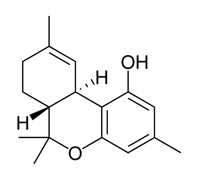 Archivo:Tetrahydrocannabiorcol.png