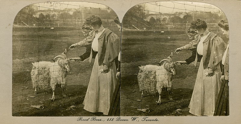 File:Women with goat.jpg