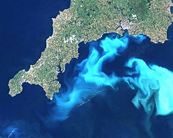 Algal bloom off south England.