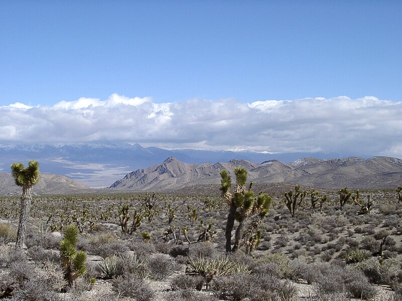 File:Lasvegasclimate.jpg