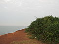 A view of the beach