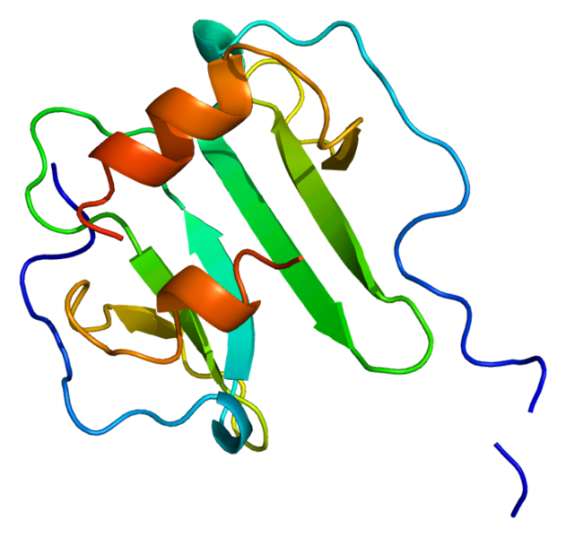 File:Protein CXCL12 PDB 1a15.png