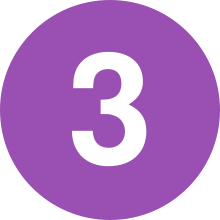 SZM Line5 P3.svg