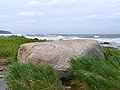 Image 40Erratics, boulders deposited by glaciers far from any existing glaciers, led geologists to the conclusion that climate had changed in the past. (from History of climate change science)