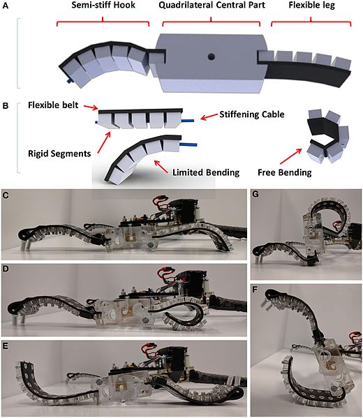 File:Soft Robotics 1.jpg