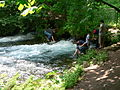 Vrelo Bosne.