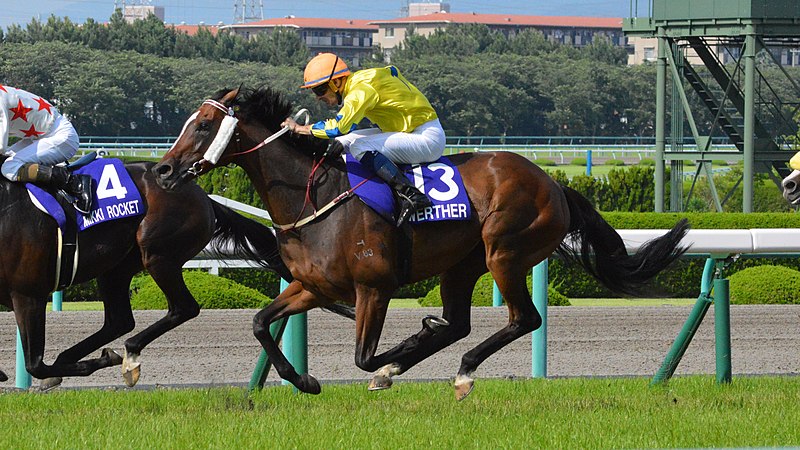 File:Werther Takarazuka kinen 2018.jpg