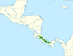 Distribución geográfica de la reinita tica.