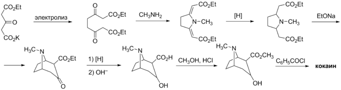 Синтез кокаина (Рихард Вильштеттер, 1923)