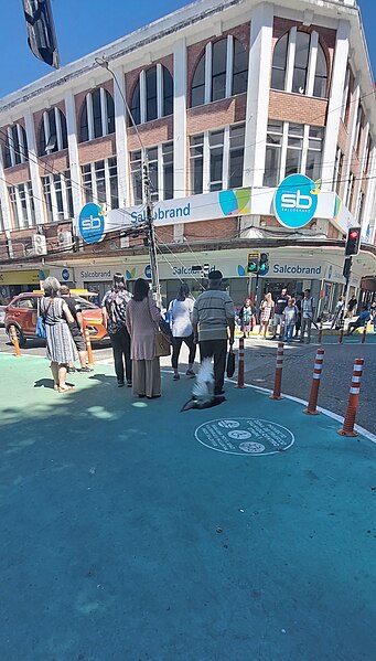 Archivo:Cruce peatonal plaza valdivia.jpg