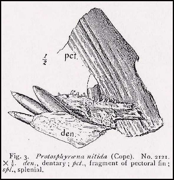 File:Hay02.jpg