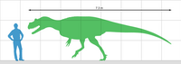 Size diagram