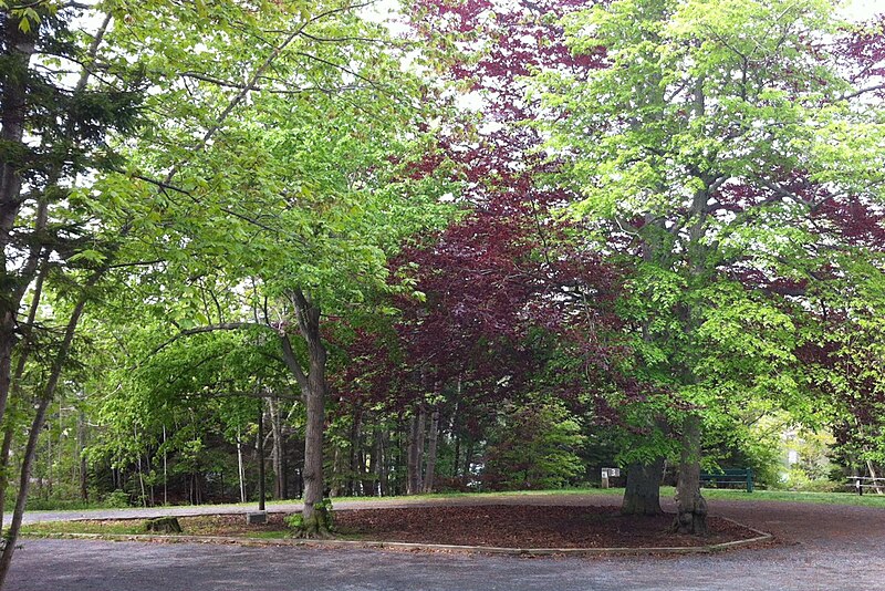 File:St.AspinquidChapel,PointPleasantPark,NovaScotia.jpg