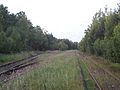 Teichwolframsdorf station, tracks (2016)