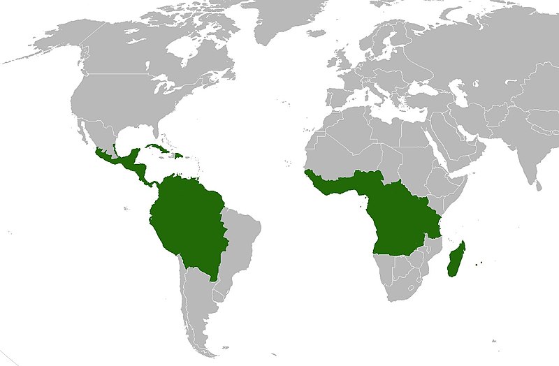 File:Bertiera range.jpg