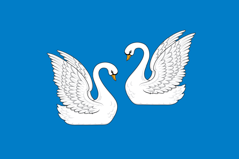 Файл:Flag of Vadsky rayon.png