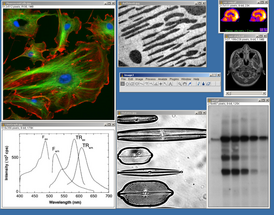 Скриншот программы ImageJ